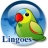 Lingoes