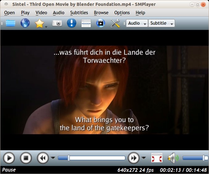 smplayer subtitles automatic linux