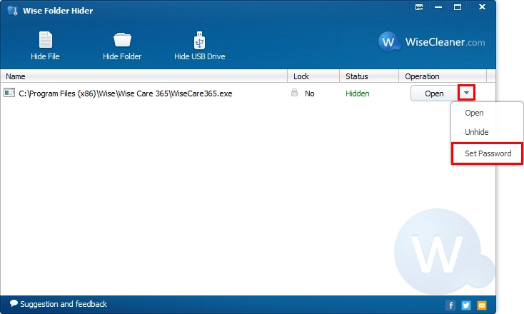 It allows you to temporarily view hidden files, unhide hidden files, or set a secondary password at any time when you log in Wise Folder Hider.