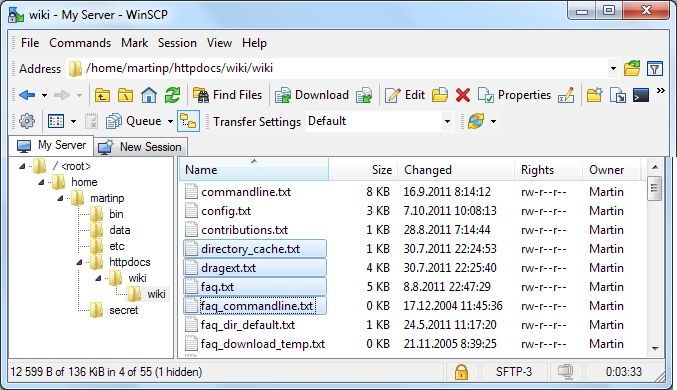 Application Interface (Similar to Windows Explorer)