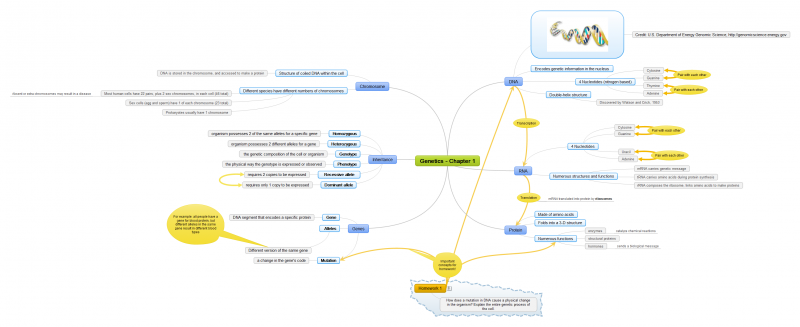 Genetic Notes Mind Map