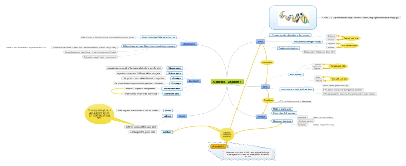 Genetic Notes Mind Map