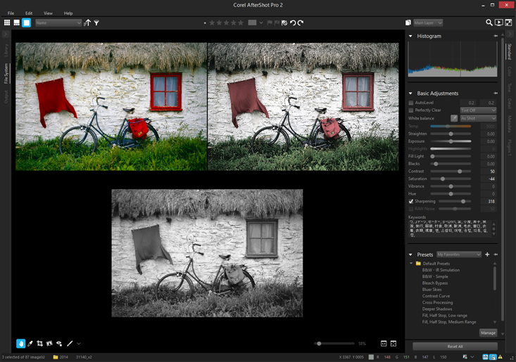 resize pictures for email with corel aftershot pro 2