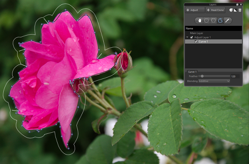 resize pictures for email with corel aftershot pro 2