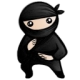 System Ninja