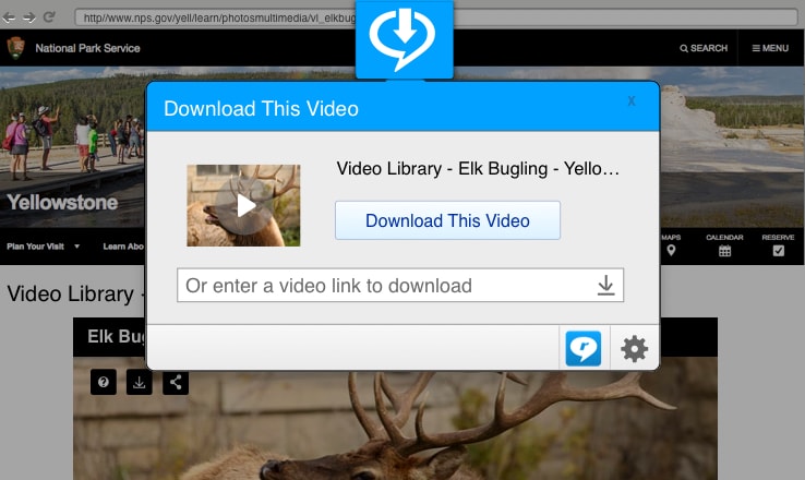 RealPlayer Plus / Free 22.0.4.304 download the new version for ios
