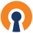 OpenVPN Connect