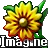 Imagine